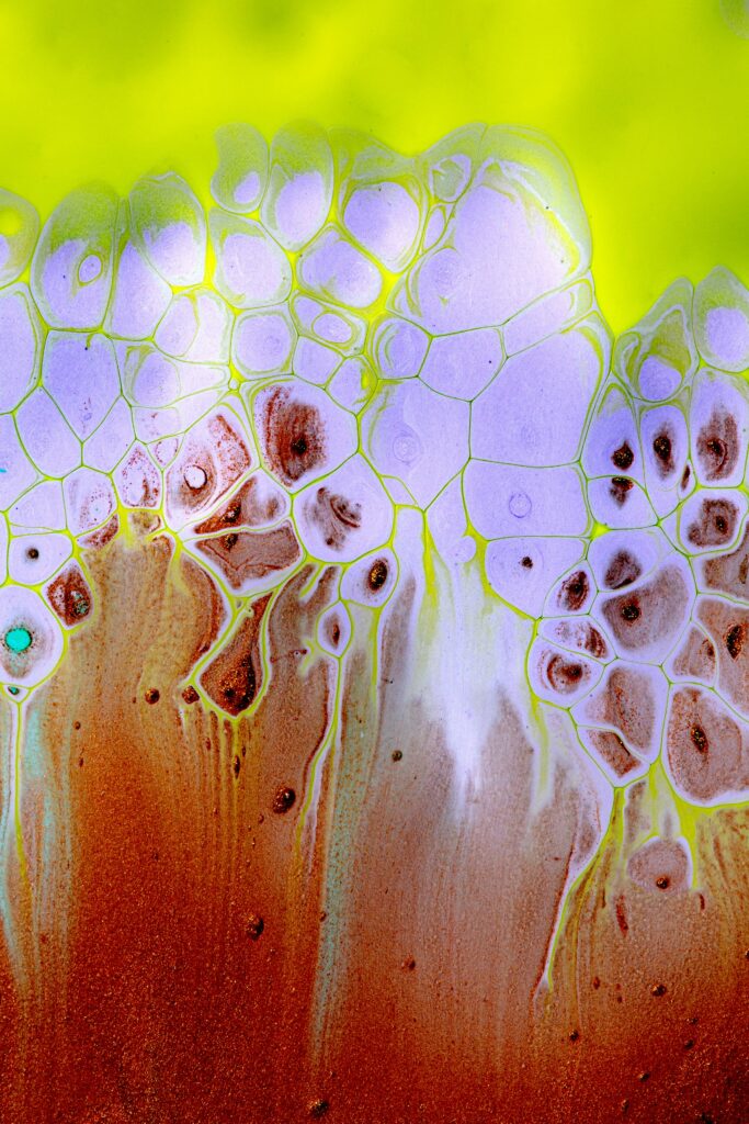 biology skin barrier