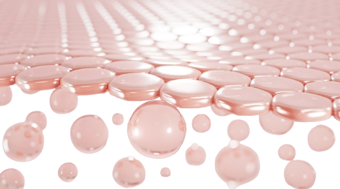 collagen vitamin skin cell