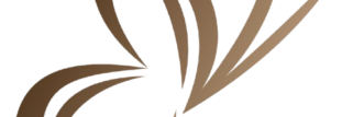 cropped 2 removebg preview.png
